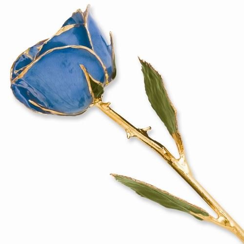 Picture of Blue Rose